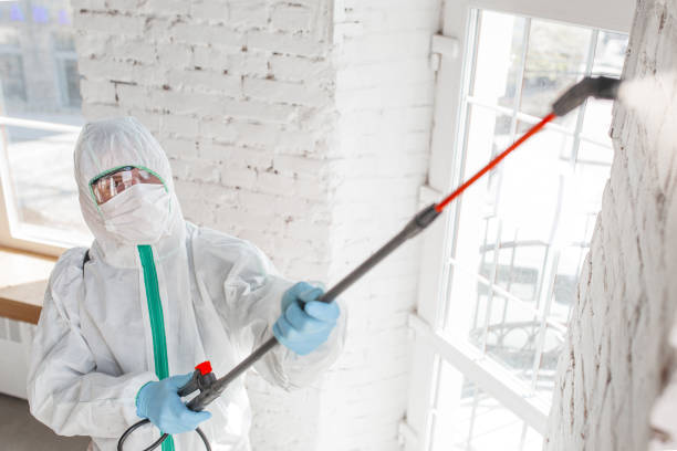 Best Air Quality Testing for Mold Spores  in Santa Clara, OR