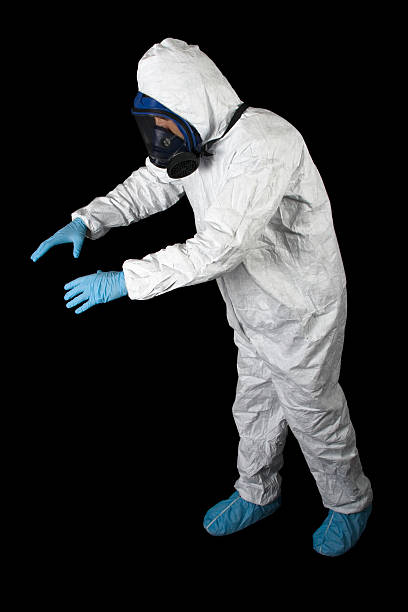 Best Mold Damage Restoration  in Santa Clara, OR